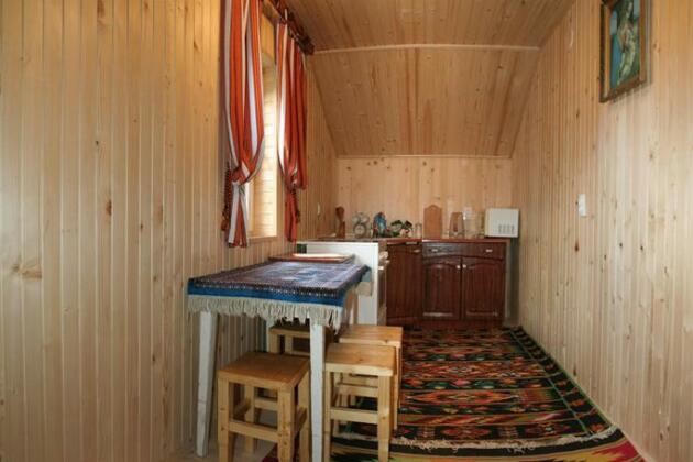 Kremena - Photo5