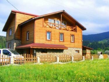 Privat Cottage Zarynok