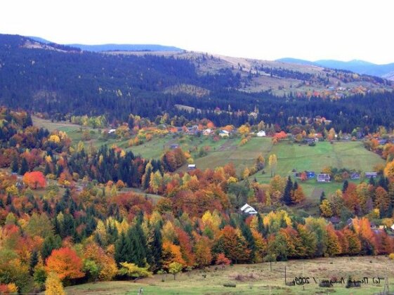 Sadyba Vedmezha Gora - Photo5