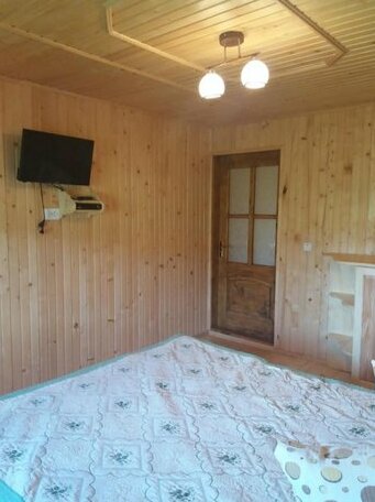 Zatyshok Guest House - Photo3