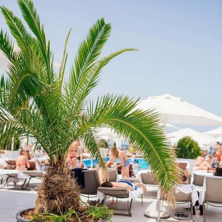 Bono Beach Hotel - Photo3