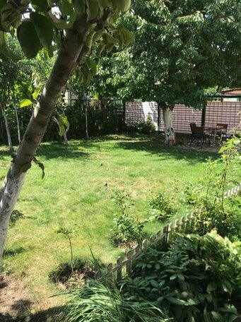 Guest House in Odessa - Photo3