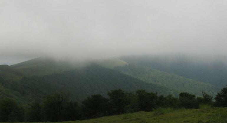 Dersu Uzala - Photo5