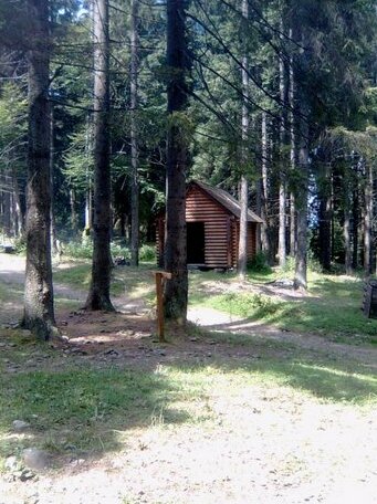 Guest House Dacha Podobovets - Photo5