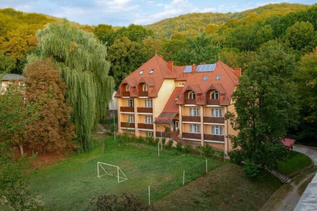 Gortenziya - Photo3