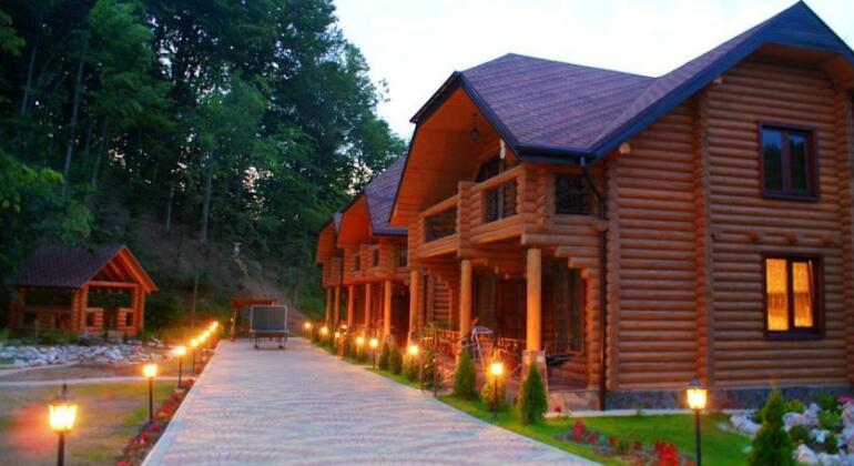 Oasis Karpat - Photo2