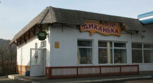 Karpaty Viking