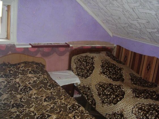Sadyba Irchik - Photo5