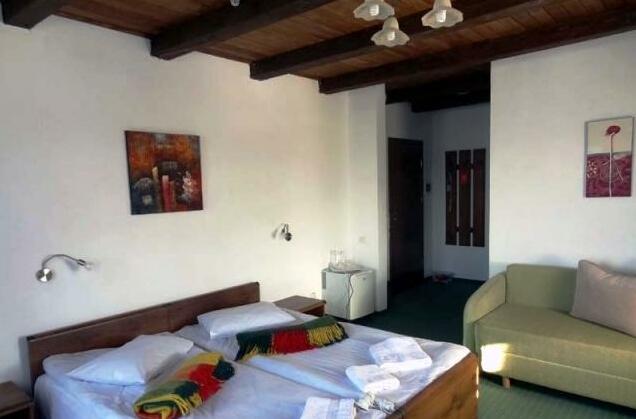 Alpenhof Pansion - Photo5