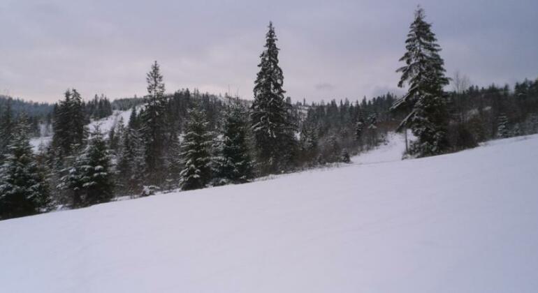 Guest House Magnat - Photo5