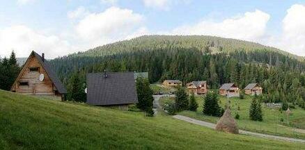 Oriavchik - Photo5