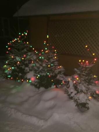  Photo 3