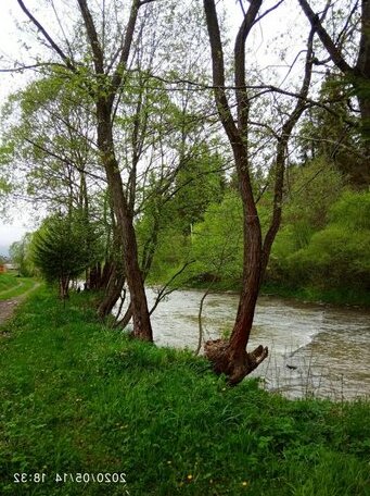 Vodograi - Photo4