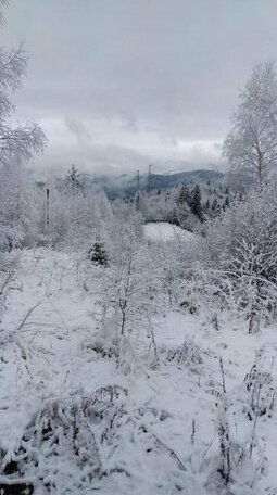 Zacharovany Karpaty - Photo3