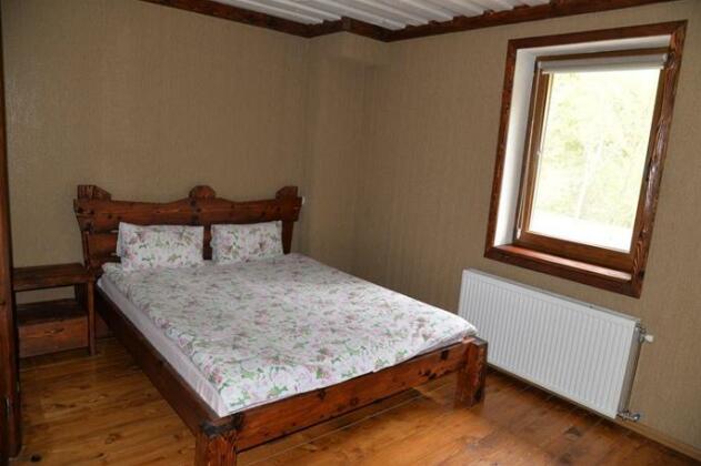 Syni Potoky - Photo4