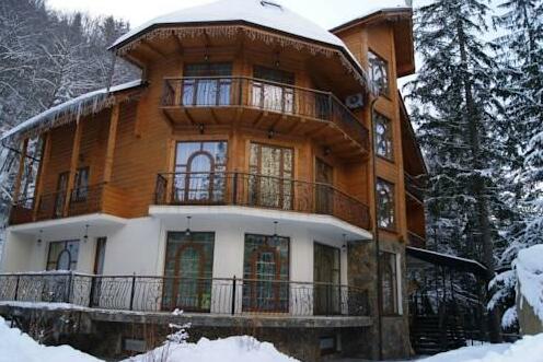 Hotel Dykyi Med - Photo2