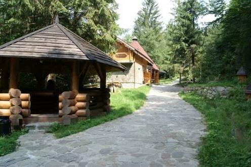 Hotel Dykyi Med - Photo3