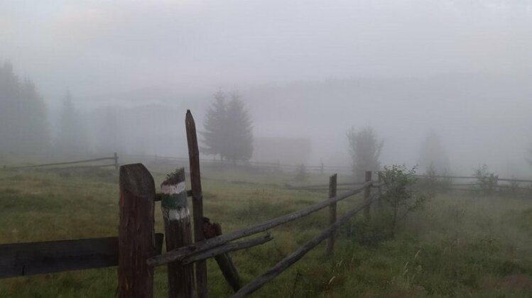 Lisoviy Zrub - Photo4