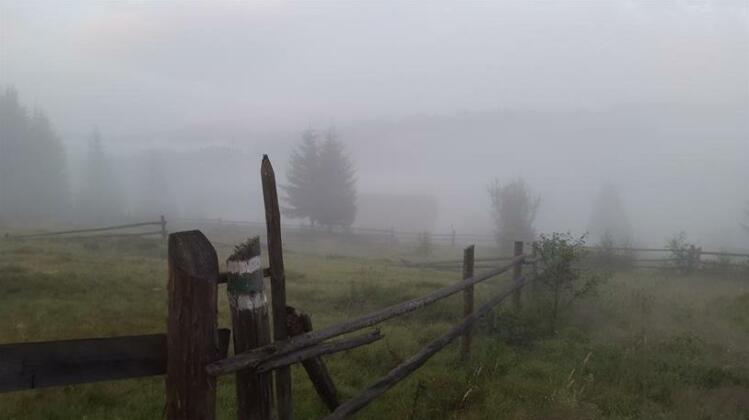 Pidlisniv - Photo3