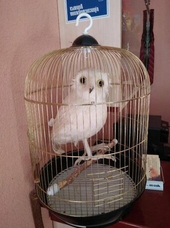 U Pottera - Photo4