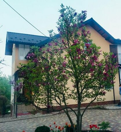 Villa Yaryna - Photo2