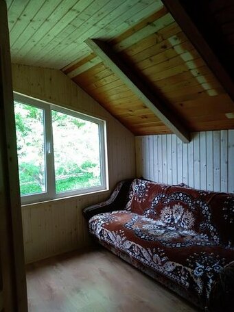 Barvinok Verkhovyna - Photo3