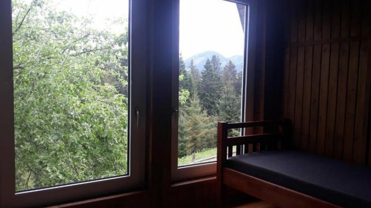 Eco Resort Nad Karpatamy - Photo3