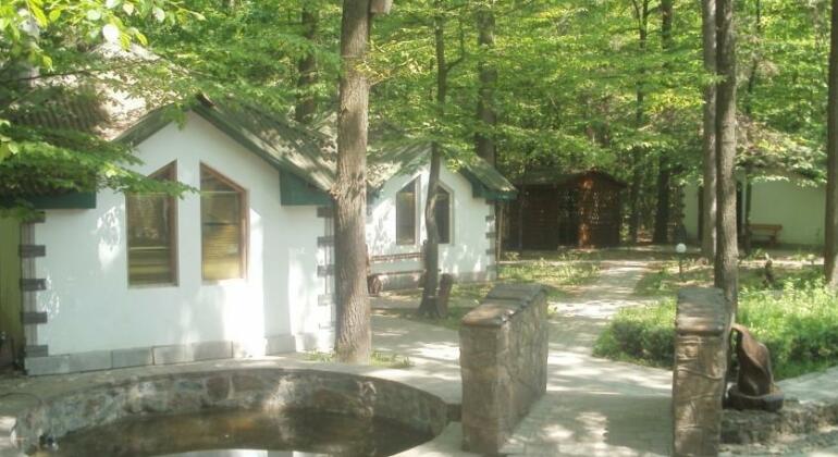 Stork Inn & Restaurant - Photo2