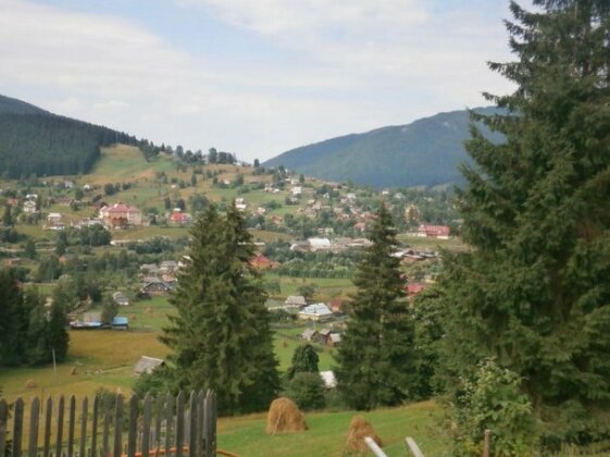 Na gorbochku u Natali - Photo2