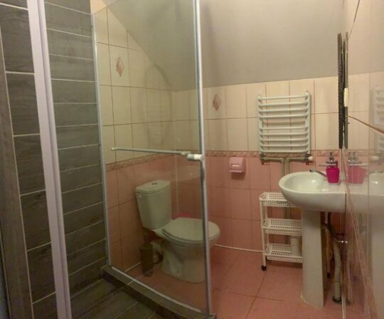Carpathian manor - Photo3