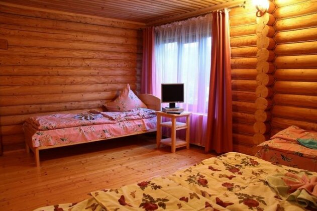 Wodden Cottage in Yasinya - Photo3
