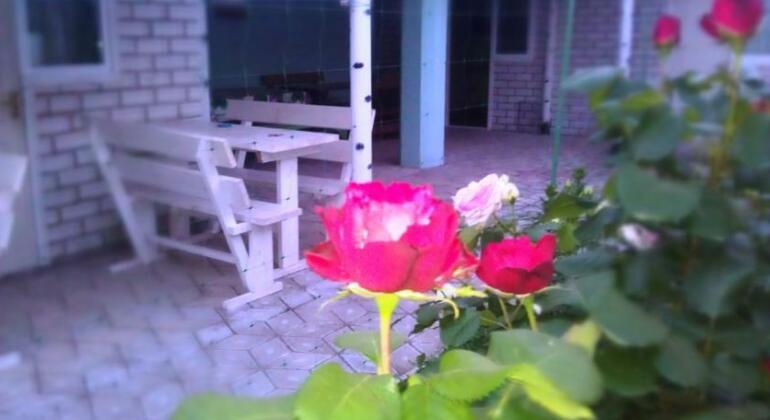 Sonachniy Ray - Photo3