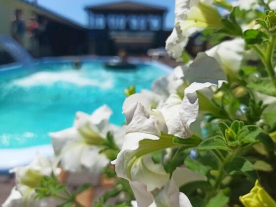 Guest House Barkhat - Photo4