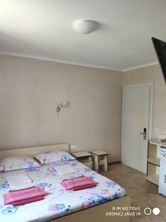 Mini-Hotels Bliznetsy i Svetofor - Photo5