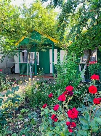 Novaya Dacha - Photo2