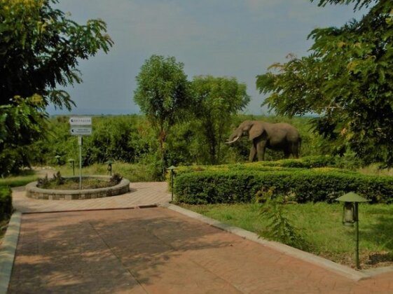 Buffalo Safari Resort - Photo3
