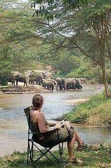 Ishasha Wilderness Lodge Katwe - Photo2