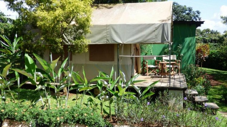 BlueMonkey Guesthouse - Photo4