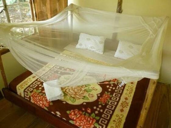 Green Valley Guesthouse & Backpackers - Photo4