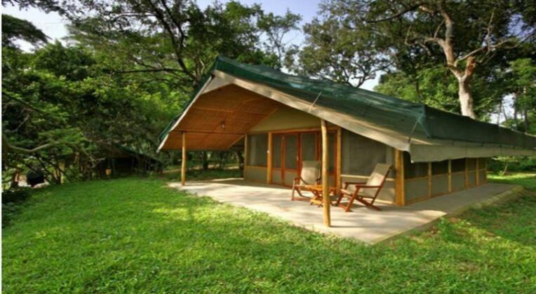 Ishasha Wilderness Camp - Photo2