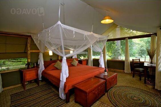 Ishasha Wilderness Camp - Photo4