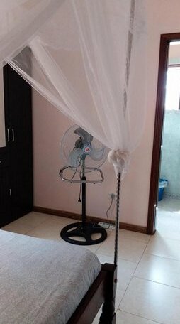 La Nest - Photo4
