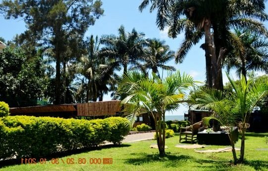 Saffron Beach Bistro & cottages - Photo4