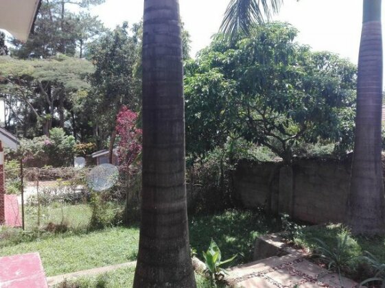 Sunbird Backpackers - Photo3