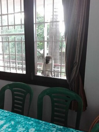 Sunbird Backpackers - Photo4