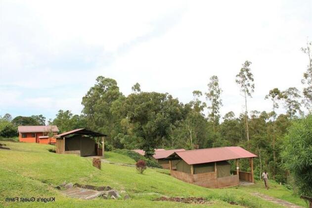 Kluge's Guest Farm - Photo5