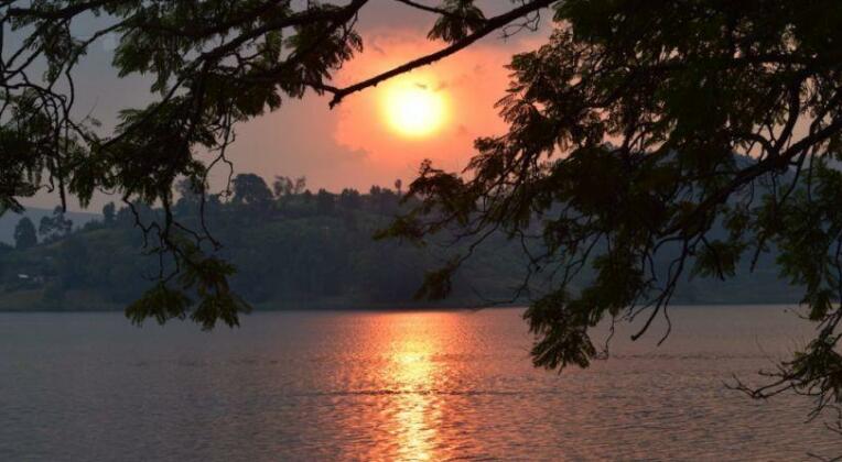 Bushara Island Camp - Photo2