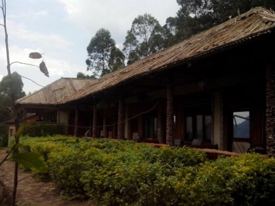 Bwindi Forest Lodge