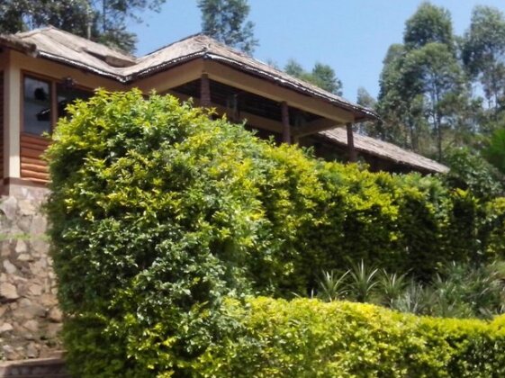 Bwindi Forest Lodge - Photo2