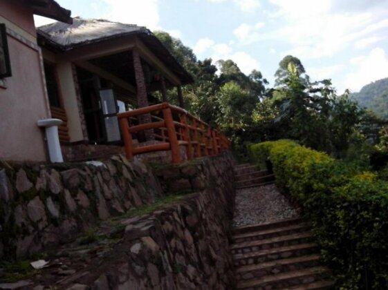 Bwindi Forest Lodge - Photo5